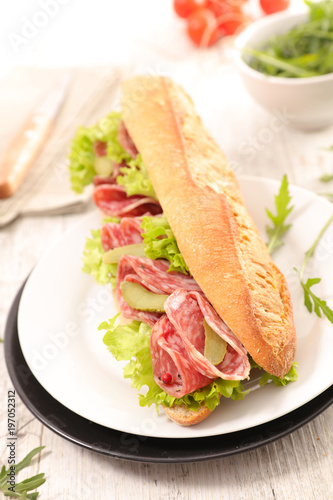 sandwich with salami and salad