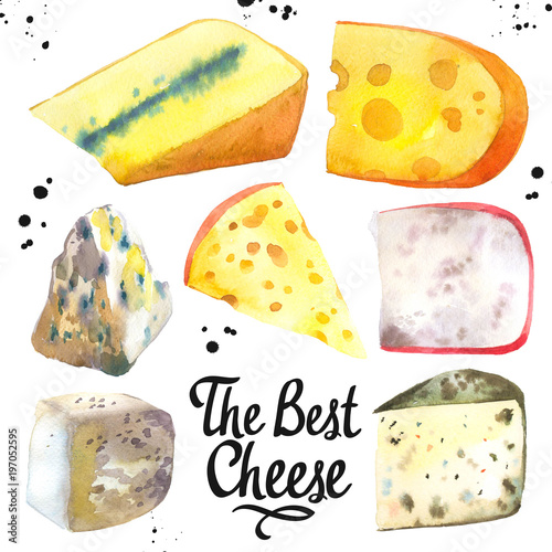 Watercolor illustration with different noble cheeses: camembert, gouda, parmesan, blue, edammer, maasdam, brie, roquefort. Snack bar. Farm dairy illustrations. Fresh organic food.