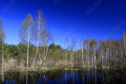Panoramic view of trees and fields over peat bog and water reservoir within the Calowanie Moor geographical terrain in early spring season in central Poland mazovian plateaus near Warsaw photo