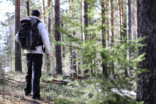 A man is a tourist in a pine forest with a backpack. A hiking tr © alexkich