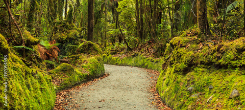 Fotografija colorful fresh bright green moss passage in the park, lichen walkway walking tra