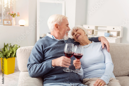 To love. Pleasant senior couple cuddling on the couch and making a toast to love, clinking their glasses, while looking at each other lovingly