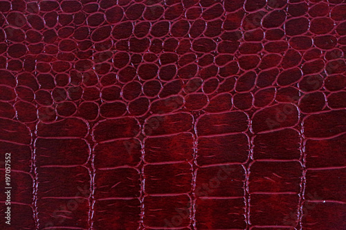Snake skine leather