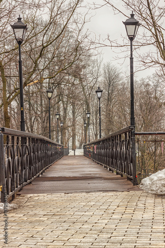 Pedestrian bridge with lanterns, surrounded by trees, winter. photo