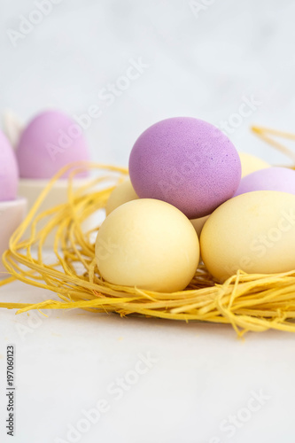 Colorful of Easter eggs in nest on pastel color.