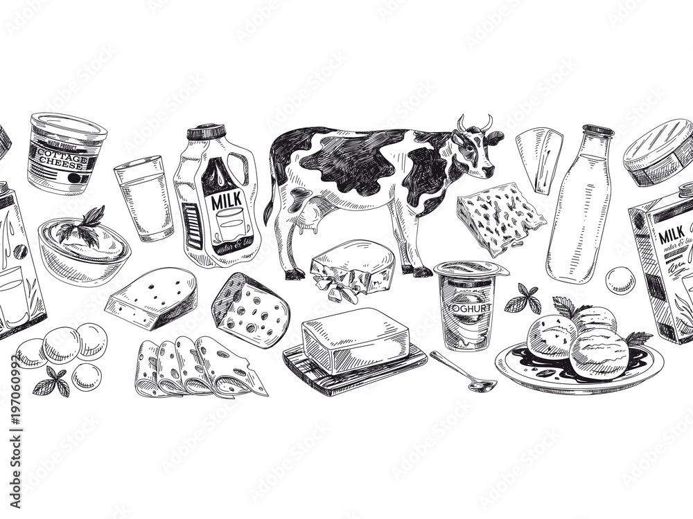 Obraz premium Beautiful vector hand drawn dairy products Illustration.