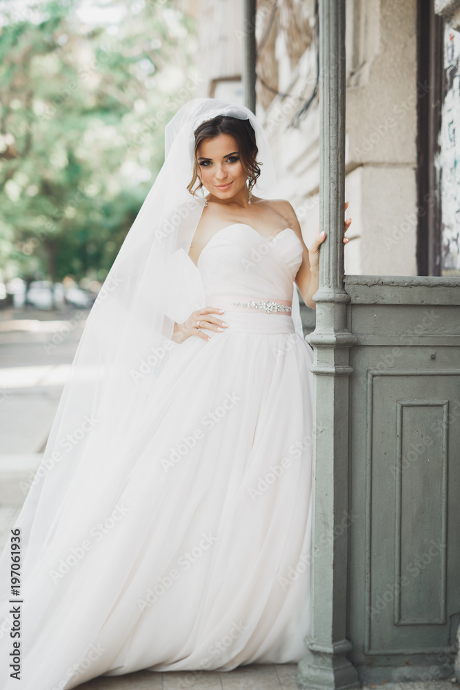 Beautiful bride posing in wedding dress outdoors Beautiful bride posing in wedding dress outdoors