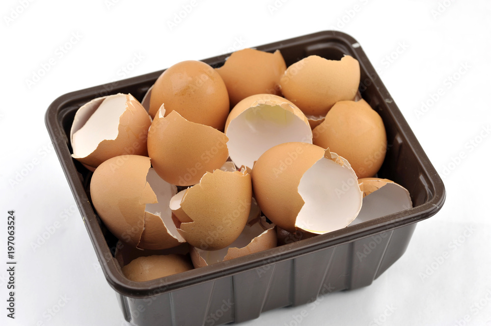 Kitchen waste