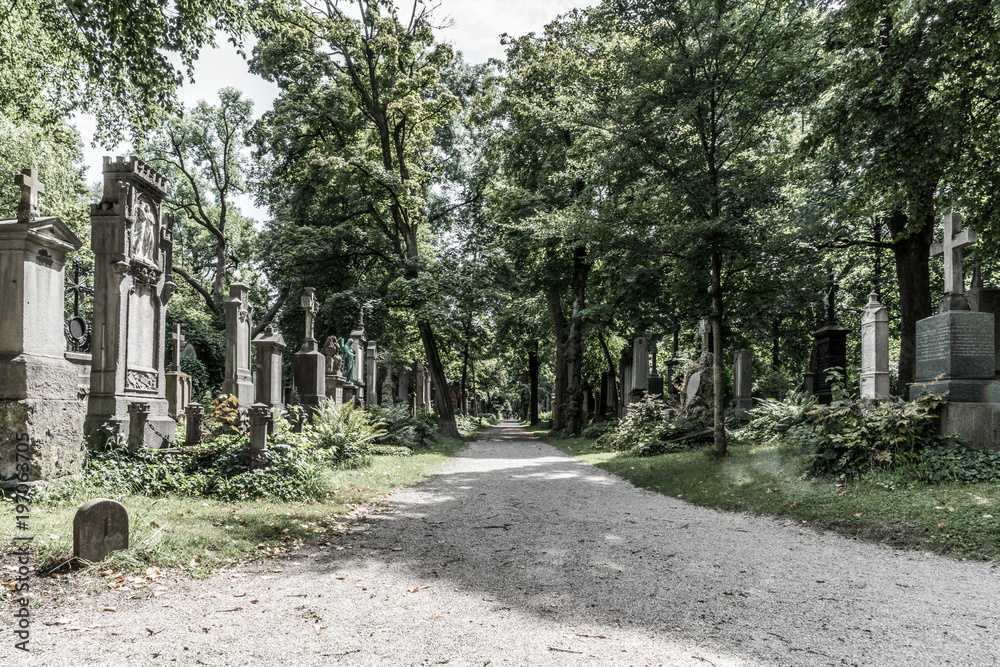 Fototapeta premium Kiesweg führt vorbei an alten Gräbern im ehemaligen Südfriedhof München