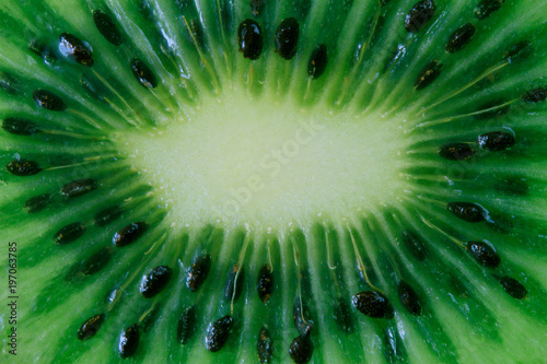 food background cut kiwi macro