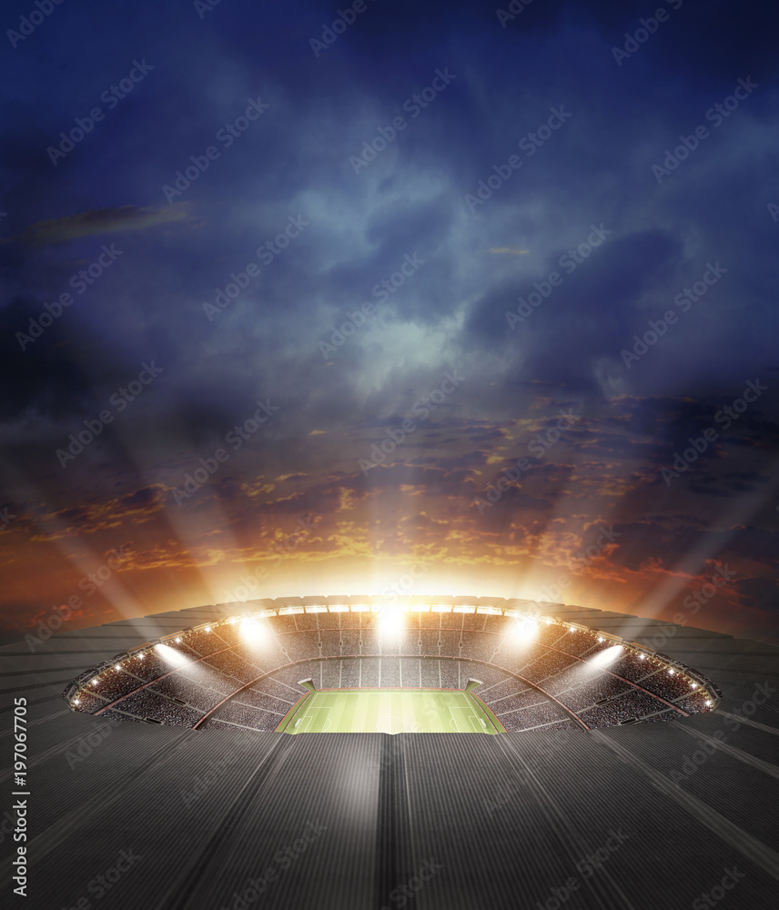 Naklejka premium The stadium