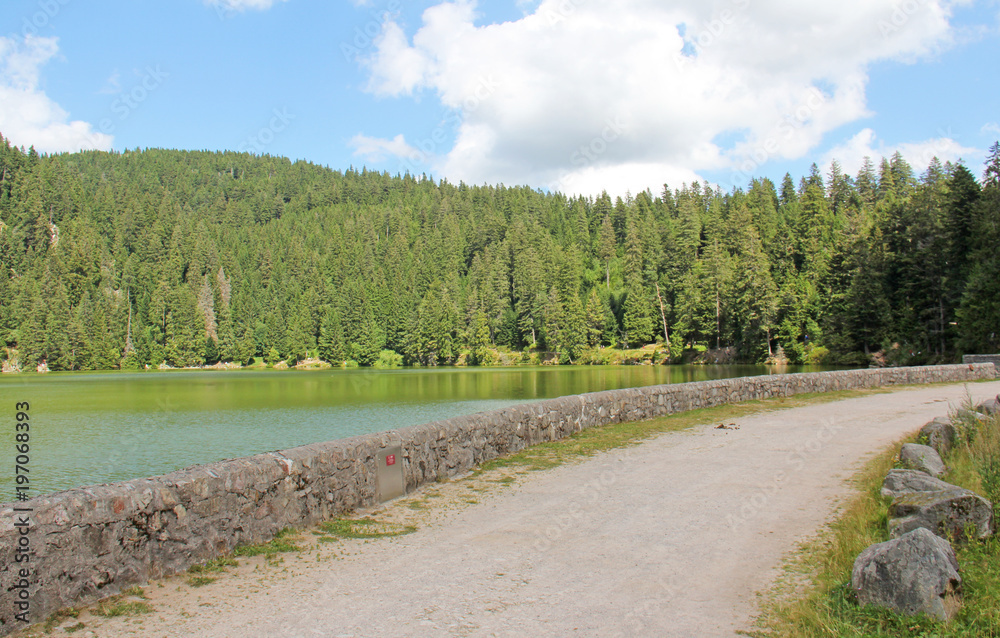 Lac vert Vosges France