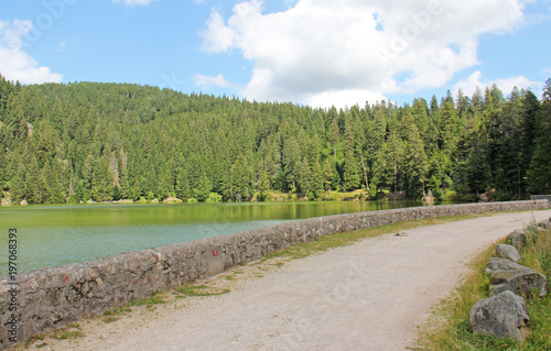 Lac vert Vosges France