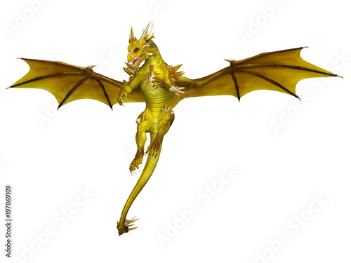 Foto ドラゴン