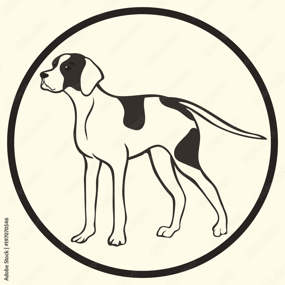 Fototapeta premium English pointer breed vector silhouette sign, symbol. Doggy sketch in minimal style icon flat. Dog outline logo. Simple emblem design for pet shop, zoo ads label design, animal food package element. 