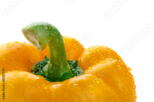Dew covered yellow pepper isolated