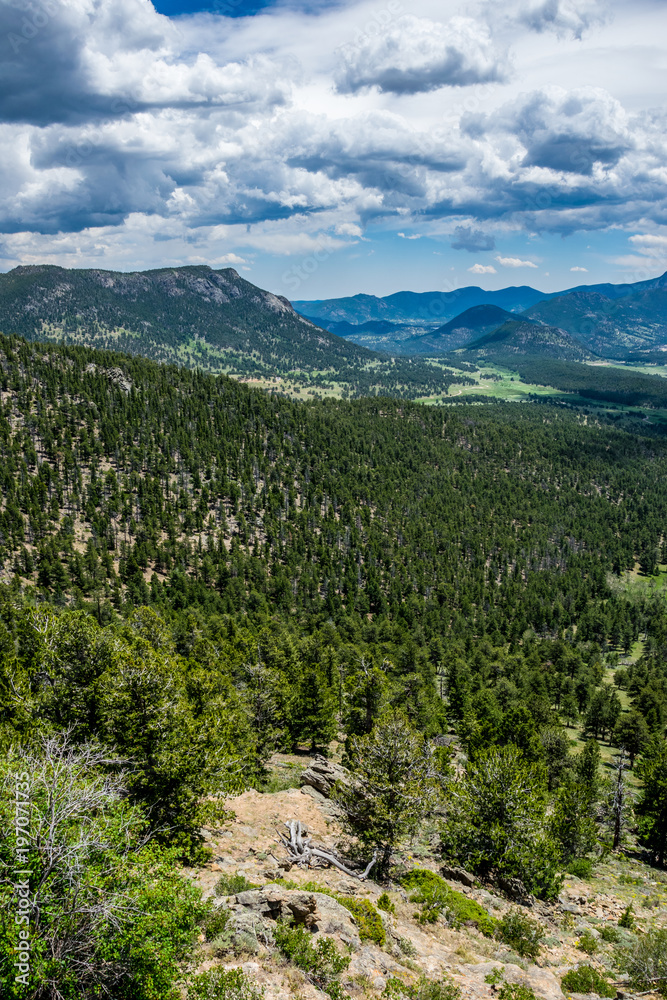 Fototapeta premium Green wooded Mountain Valley, Rocky Mountain National Park. Colorado. Nature of North America, USA