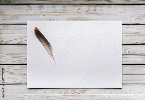 Feather on a blank sheet of paper as a symbol of poetry. Writing and poetry concept. World Poetry Day.