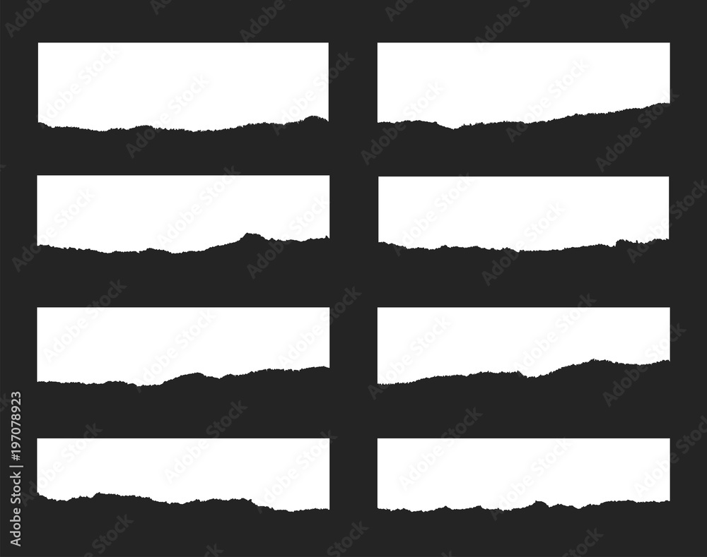 Torn paper set. Vector