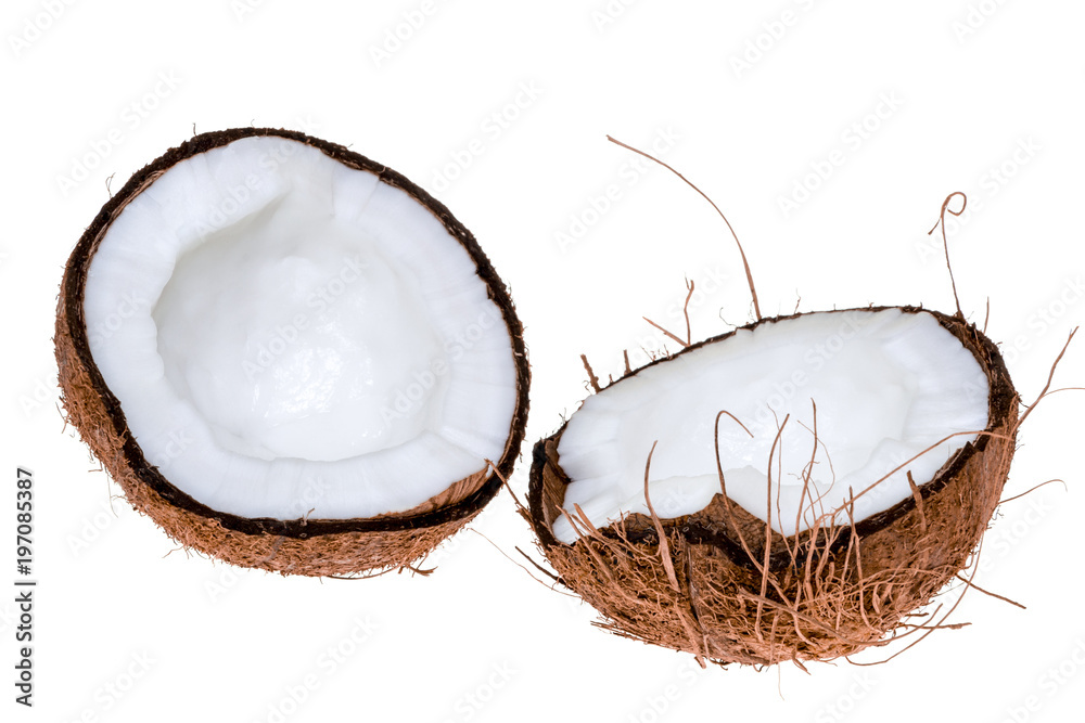 coconuts isolated on the white background coconuts isolated on the white background