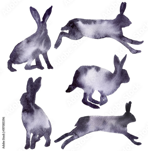 Set of rabbit illustration.