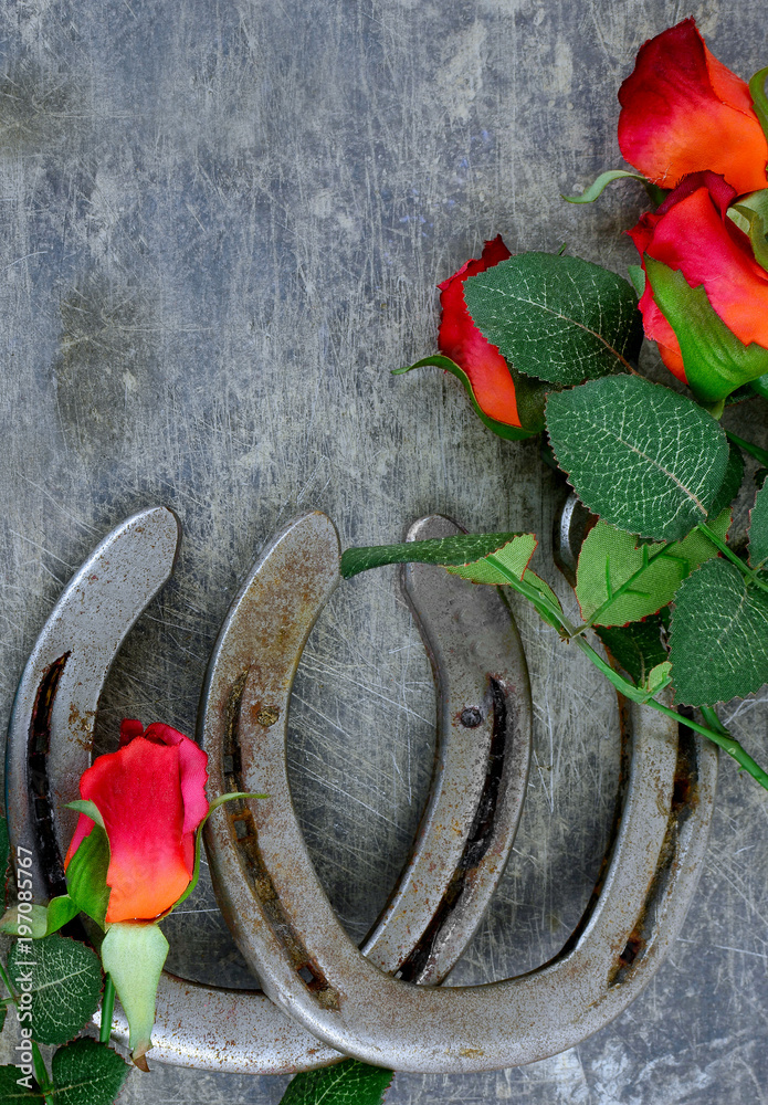 Two old horse shoes paired with silk red roses on a scratched up steel  background make