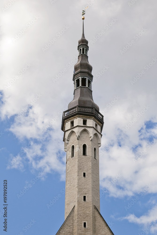 Spire of Tallinn town hall