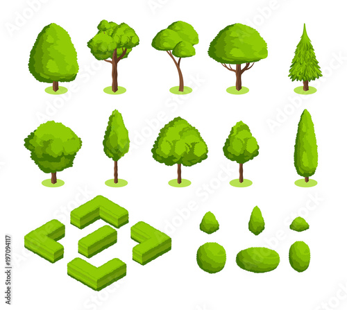 Isometric 3d vector park and garden trees and bushes. Green forest plants collection