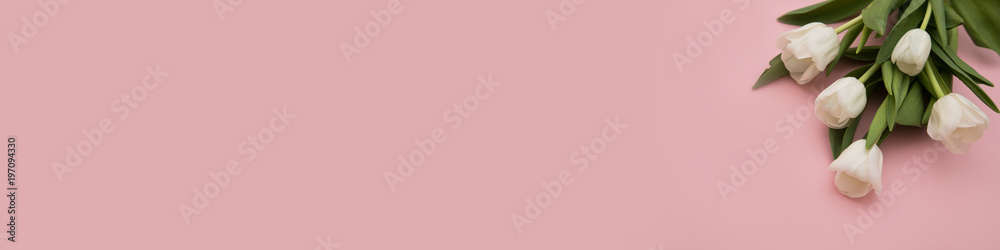 Fototapeta premium Tulip flowers postcard