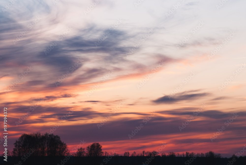 Naklejka premium the sky after the sunset,