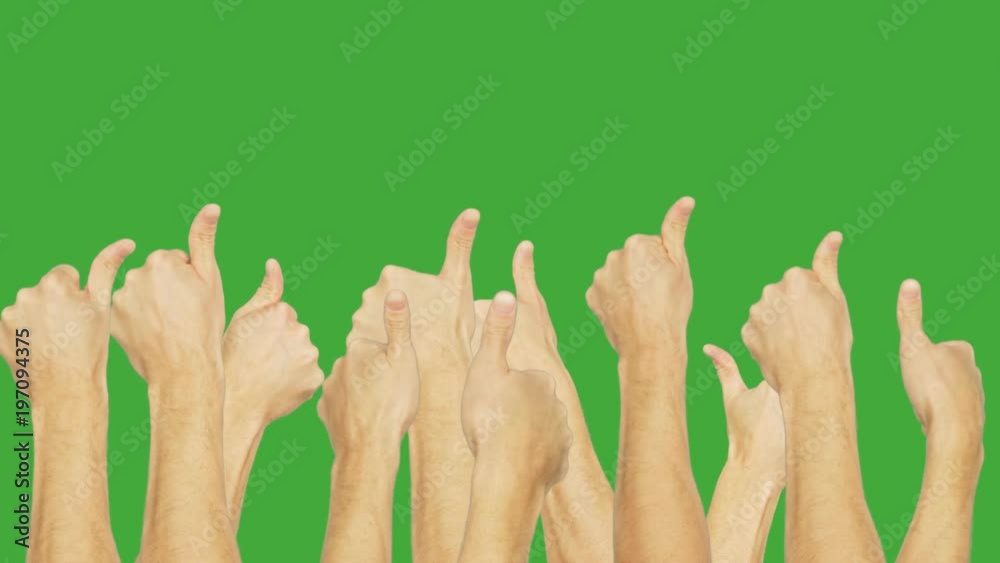 People group simultaneously showing thumb up on green chroma key background. People hand showing gesture ok isolated on green background. Alpha channel, keyed green screen.