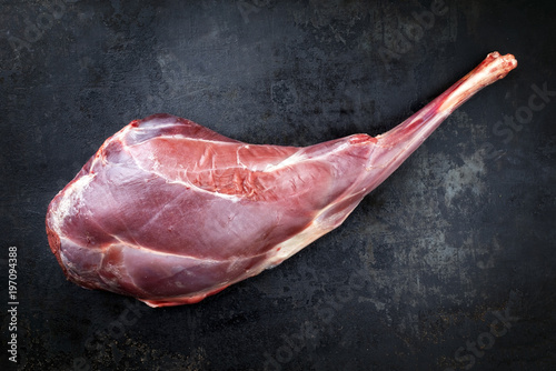 Raw aged leg of venison with bone as top view on rustic background