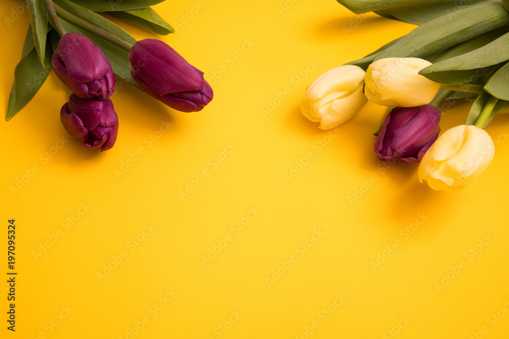 Tulip flowers postcard Tulip flowers postcard