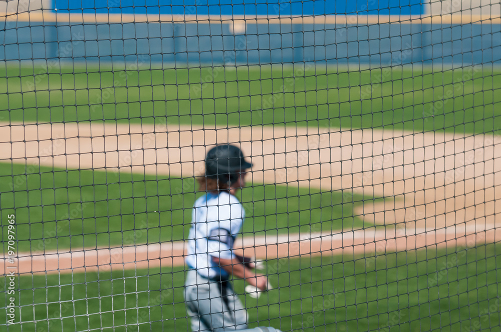 Obraz premium Baseball teenager behind the net