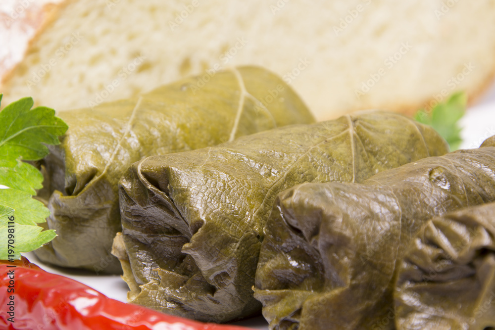 Grape leaves rolls. Sarmale, dolma, dolmades, sarma, golubtsy or golabki. Grape leaves rolls. Sarmale, dolma, dolmades, sarma, golubtsy or golabki.