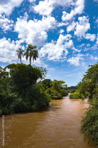 Brazilian tropical landscape