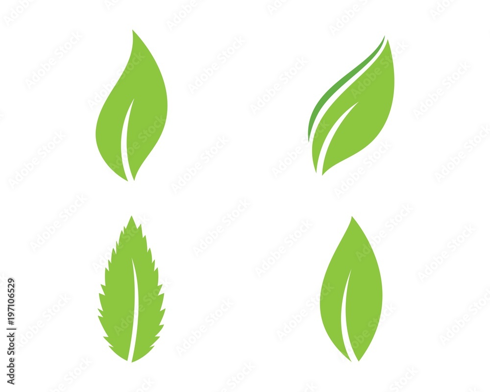 green leaf ecology nature element