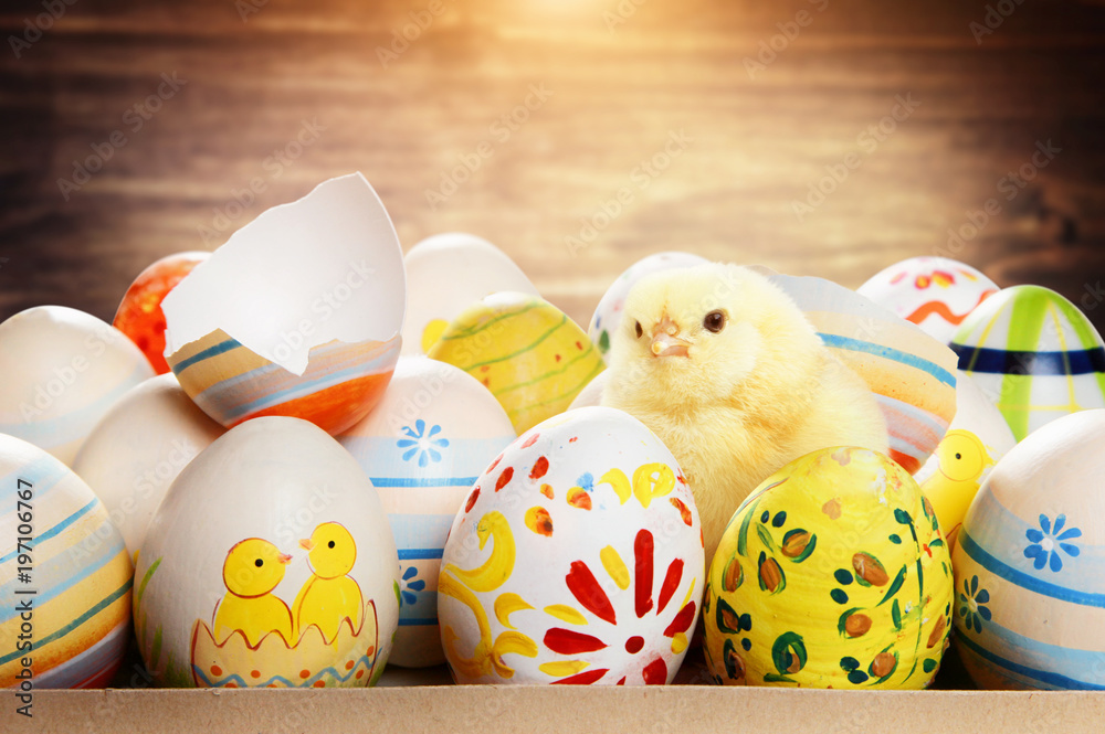 Ostern Küken Motiv StockFoto Adobe Stock
