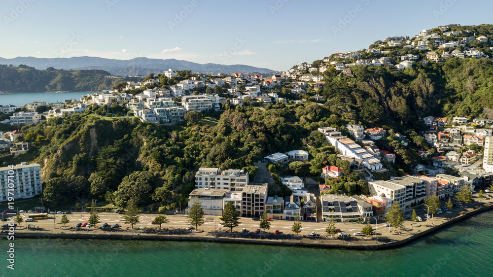 Beautiful Luxury Neighborhood In Wellington New Zealand