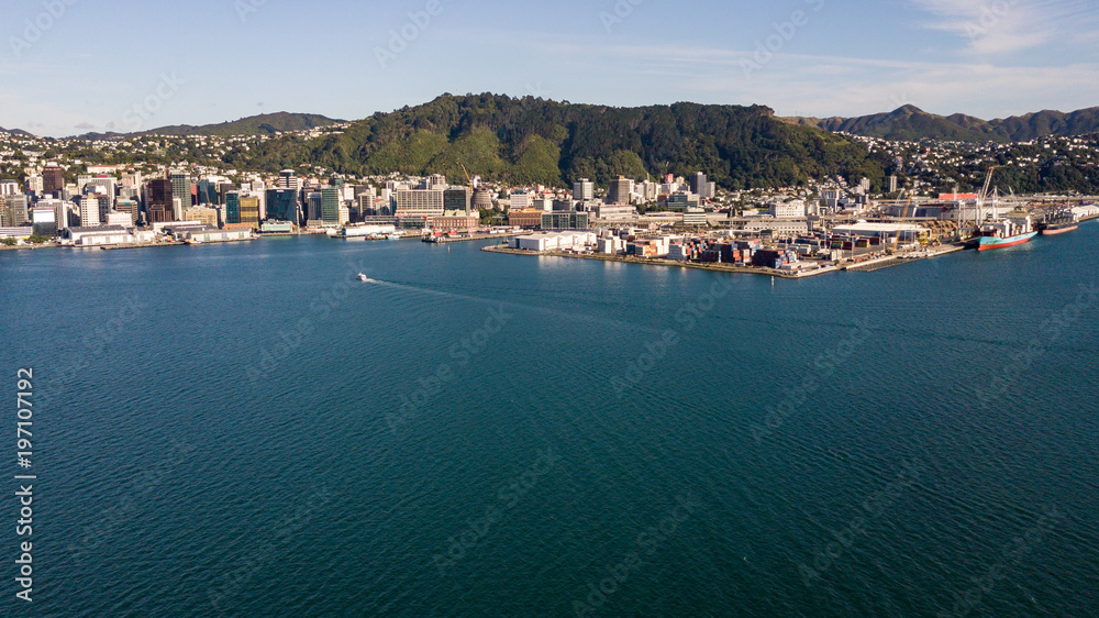 Wellington Harbor, Cargo Area And Shipping Lines 