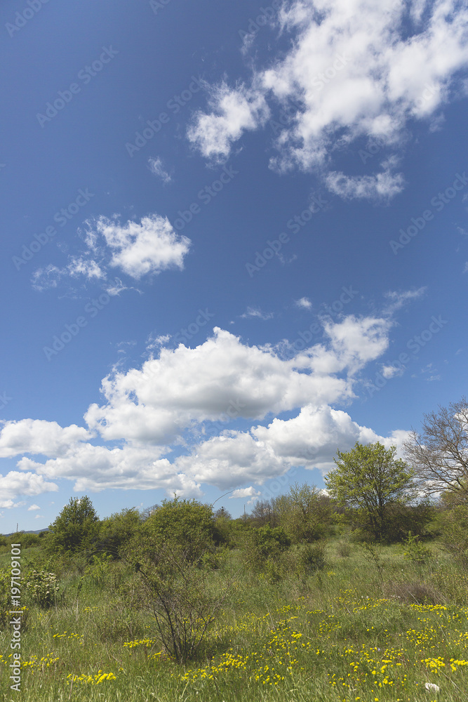 Countryside landscape at spring with field and mountain in the background and blue sky and fluffy white clouds, Croatia Countryside landscape at spring with field and mountain in the background and blue sky and fluffy white clouds, Croatia