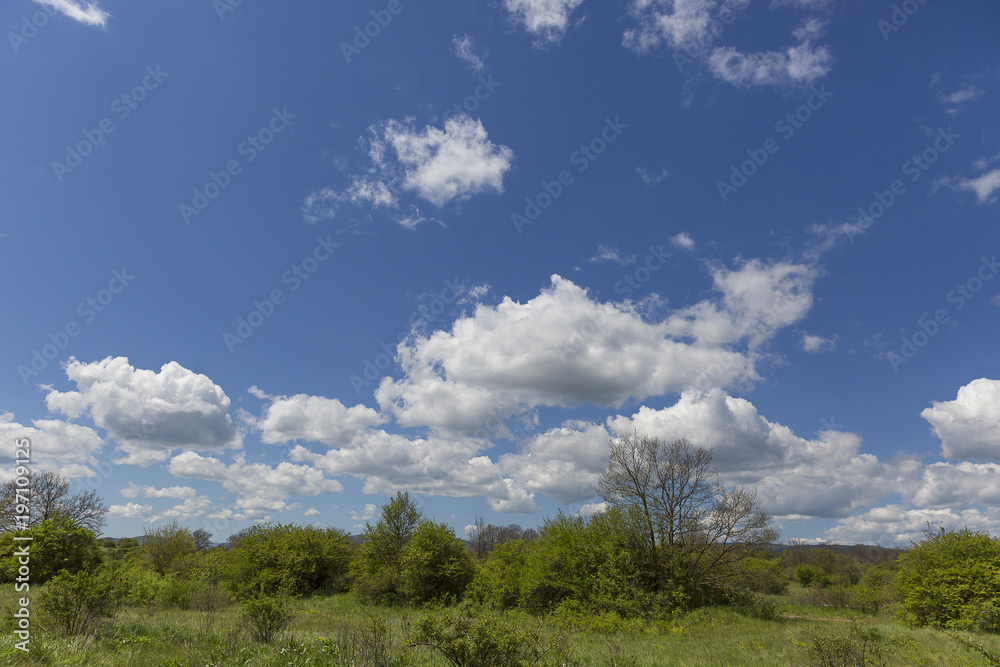 Countryside landscape at spring with field and mountain in the background and blue sky and fluffy white clouds, Croatia Countryside landscape at spring with field and mountain in the background and blue sky and fluffy white clouds, Croatia