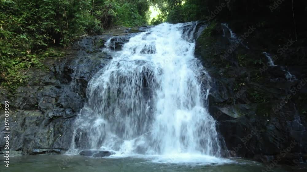 Ton Chong Fa,in the forest tropical zone ,national park Takua pa Phang Nga Thailand
