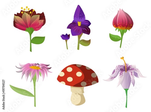 flowers and plants collection