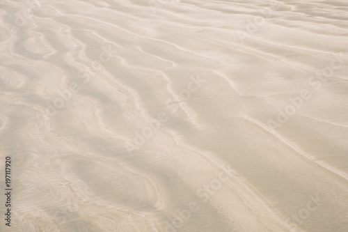 beach closeup, sand pattern - sand ripples texture © hanohiki