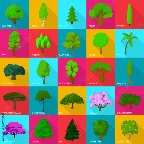 Tree types icons set, flat style