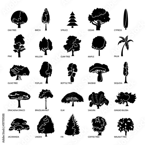 Tree types icons set, simple style