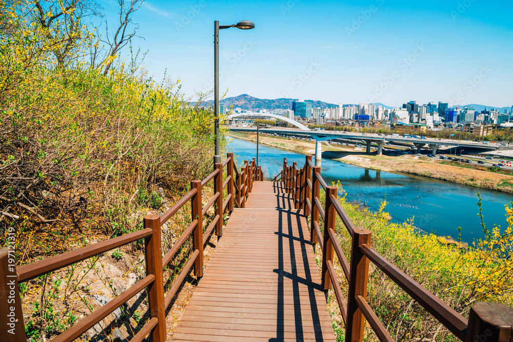 View of Seoul city and Han river with forsythia flower from Eungbongsan mountain