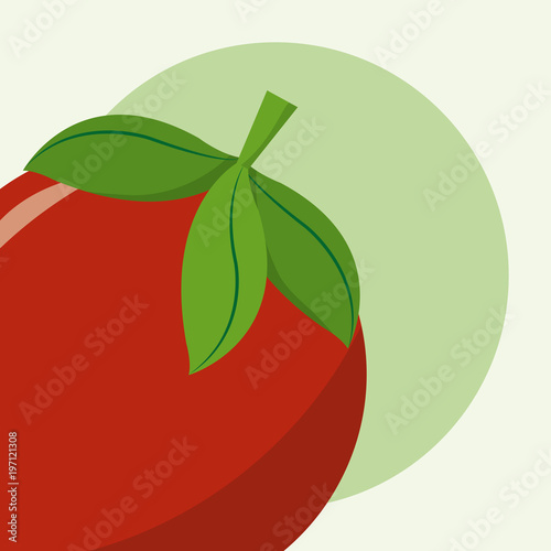 Red tomato cartoon