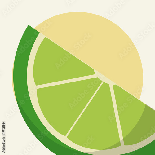 Sliced lemon cartoon